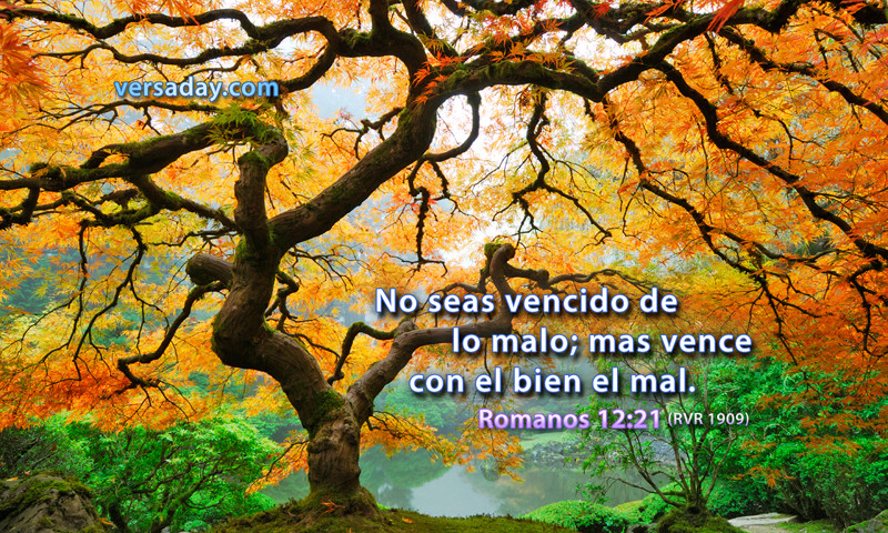 Romanos 12:21 - Versiculo para Mayo 1 Asi Es La Vida Meaning In English