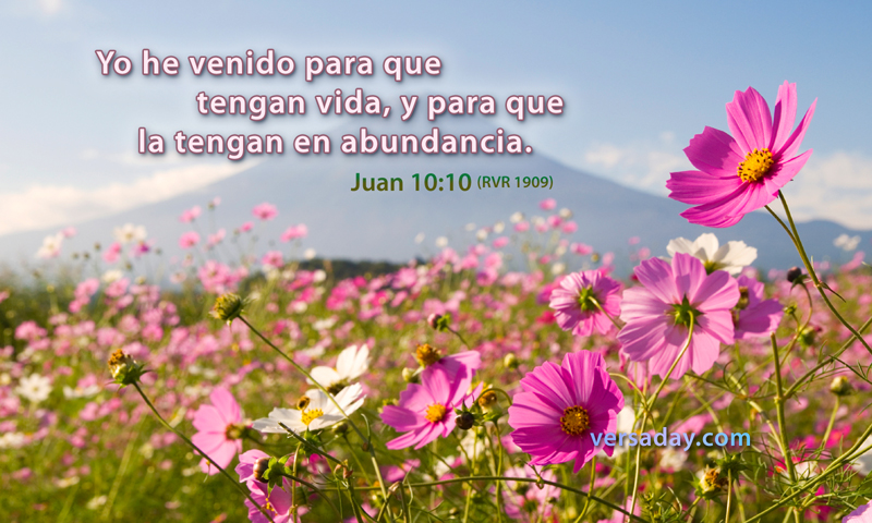 S. Juan 10:10 El ladrón no viene sino para hurtar y matar y destruir; yo he  venido para que tengan vida, y para que la tengan en abundancia.